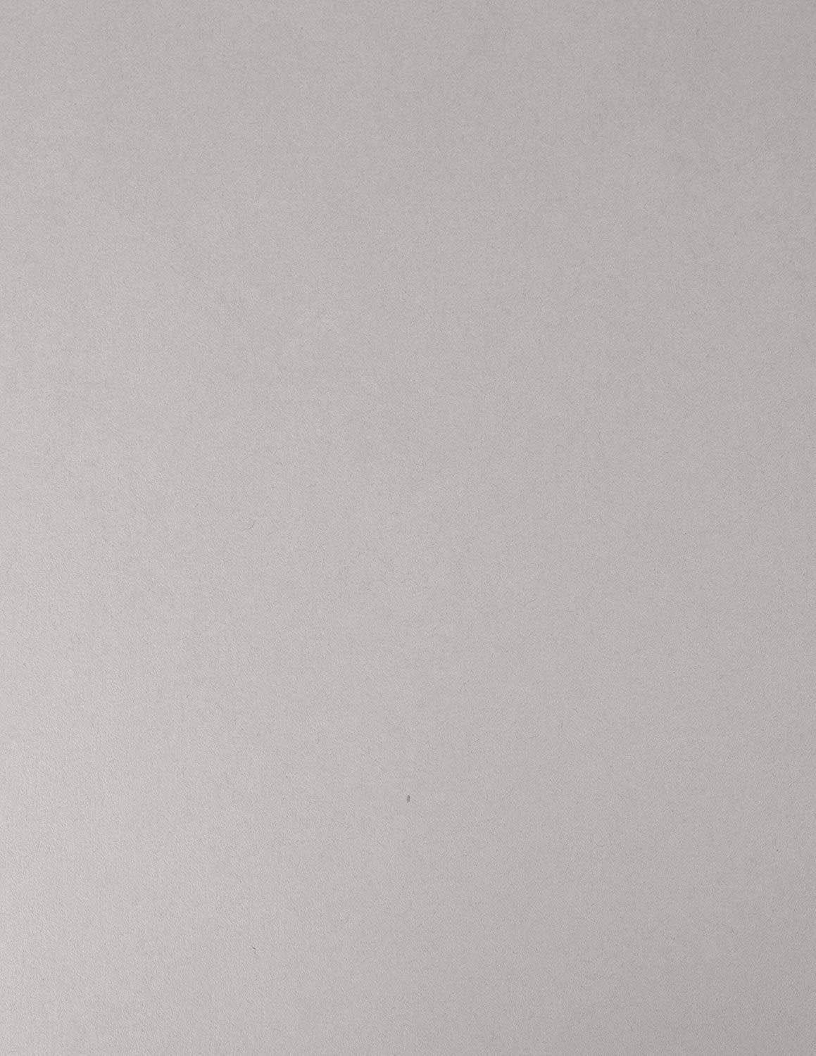 50 Colored Gray Sheet Card Stock Paper - Vellum Bristol Cover, Copy Paper, Printer Paper, 67lb, 147gsm, 8.5" x 11" Thick Paper
