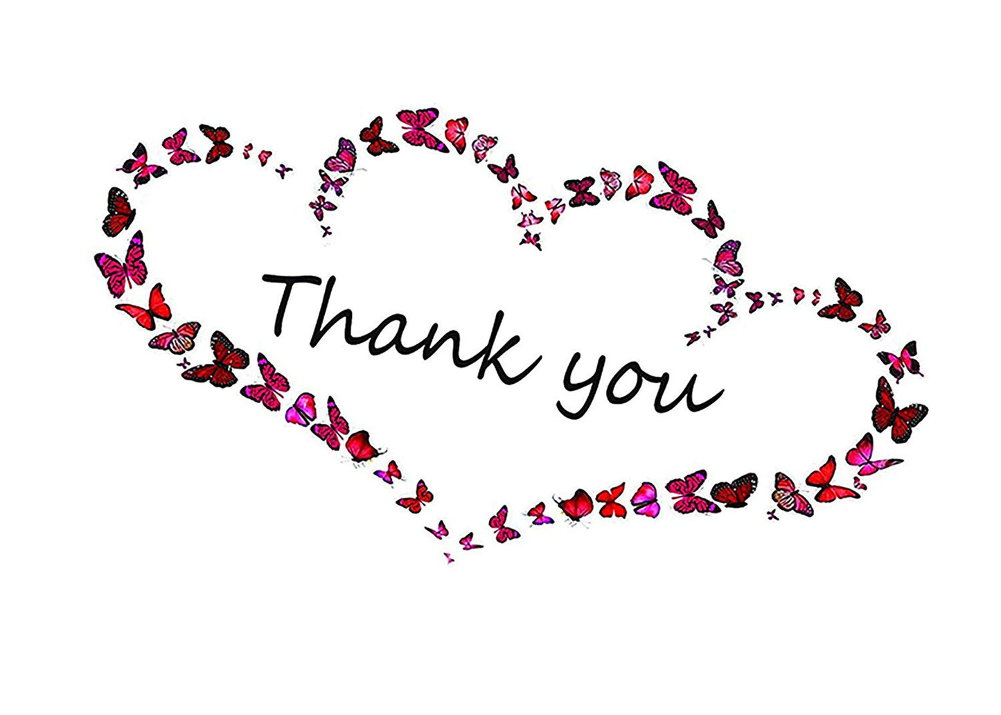 Thank You Cards with Envelopes - Perfect for Business, Anniversary, Graduation, Weddings - 4 x 7 Inches of 50 Amazing White Note Cards with Blank Greeting Space - Perfectly Formed Butterfly Design